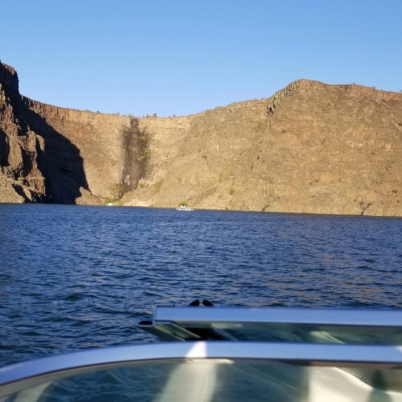 Meet your Posher, Delaney - Picture 3 of 5